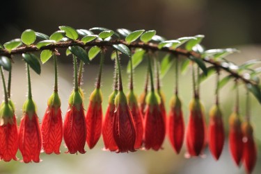 佛山南海区7私人快速借钱网，轻松解决资金难题