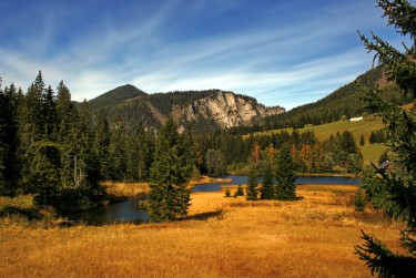 佛山南海区7民间私贷攻略：揭秘低成本借贷的秘密