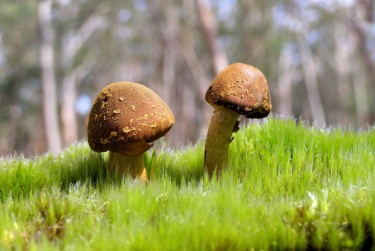 佛山南海区7私人老板放款：轻松融资的秘密通道